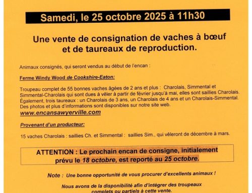 ENCAN CONSIGNATION SAMEDI 25 OCTOBRE 25 À 11H30 AVEC 2 TROUPEAUX